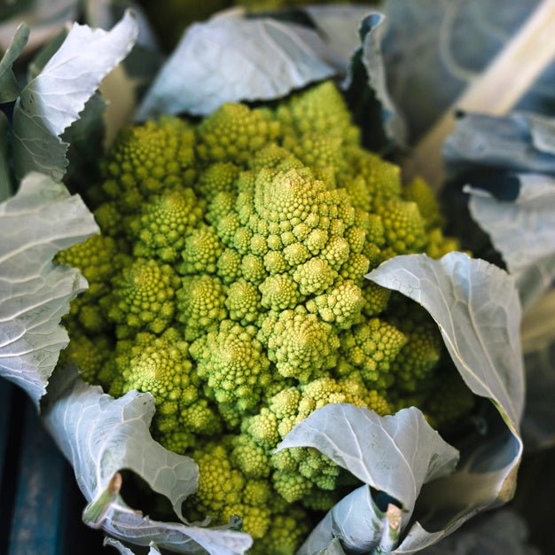 Cauliflower cruciferous vegetable