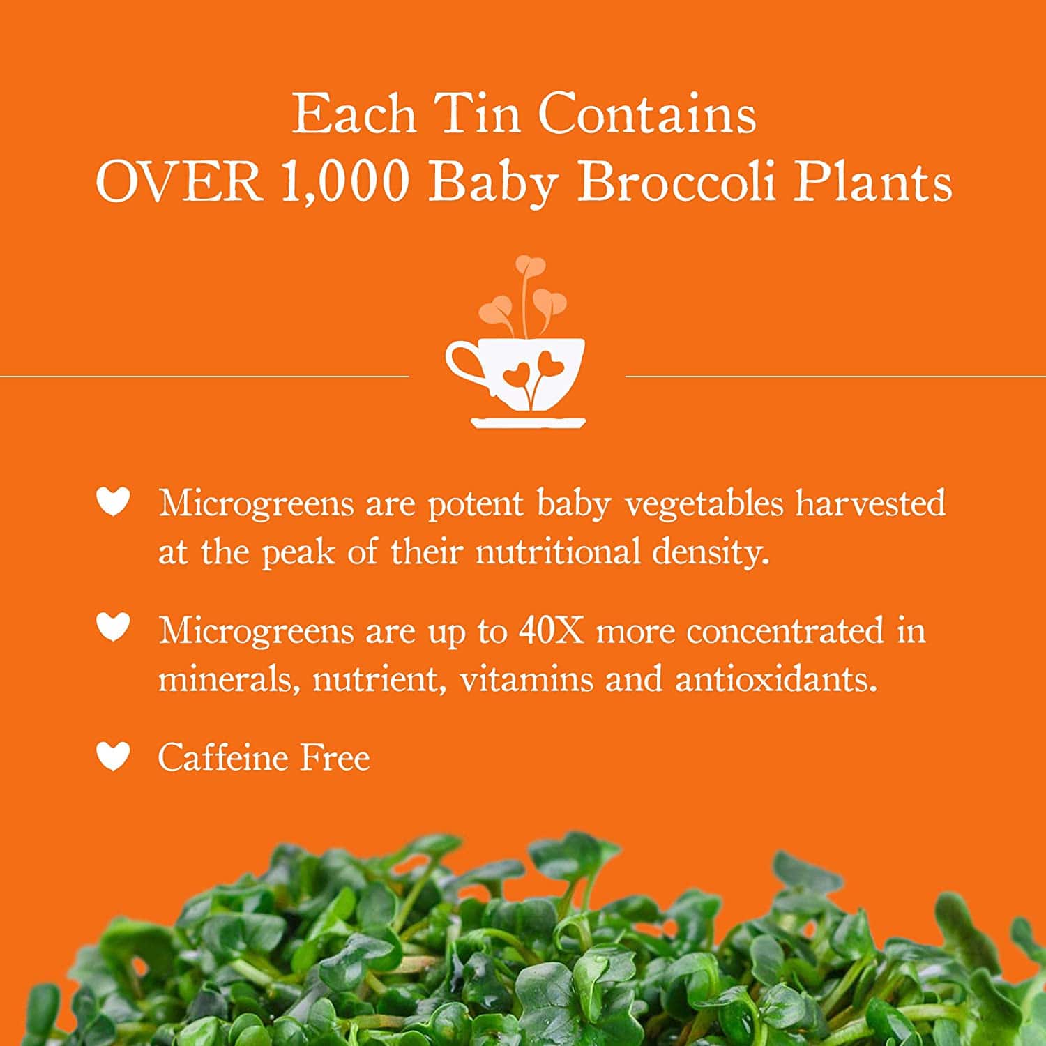 Recovery - Turmeric Tea (Caffeine Free)  Beyond Microgreens