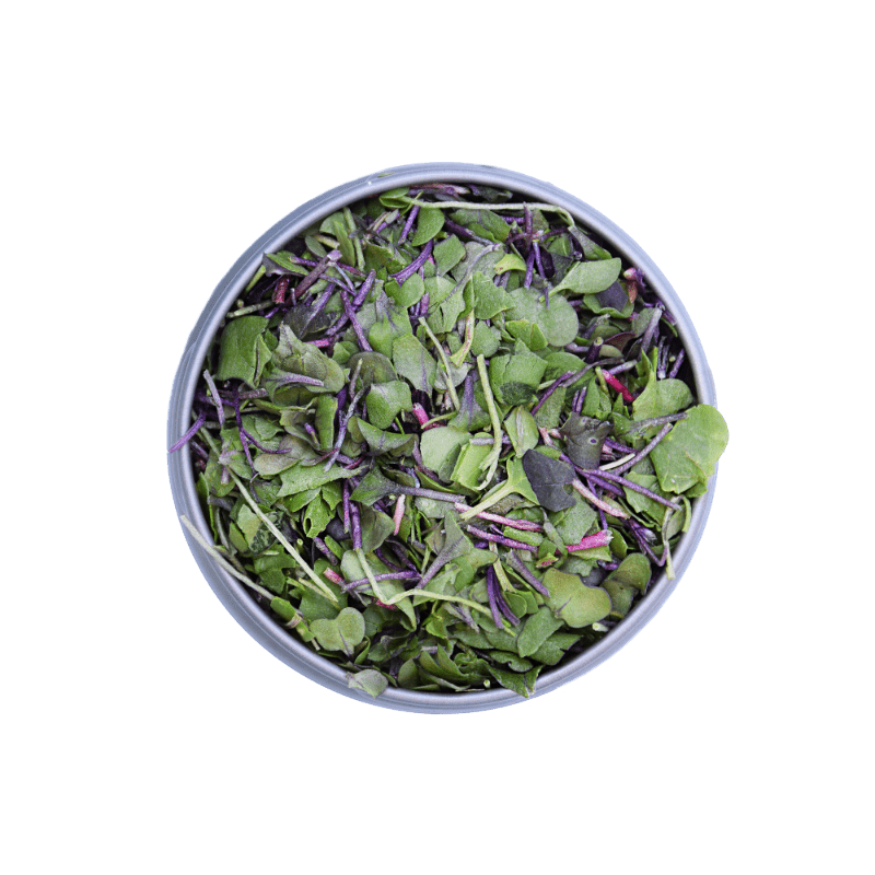 Valentine Bundle - *Limited Time Only!* BeMicro