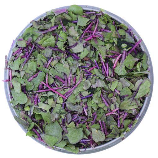 Buy One Get One Bundle BeMicro