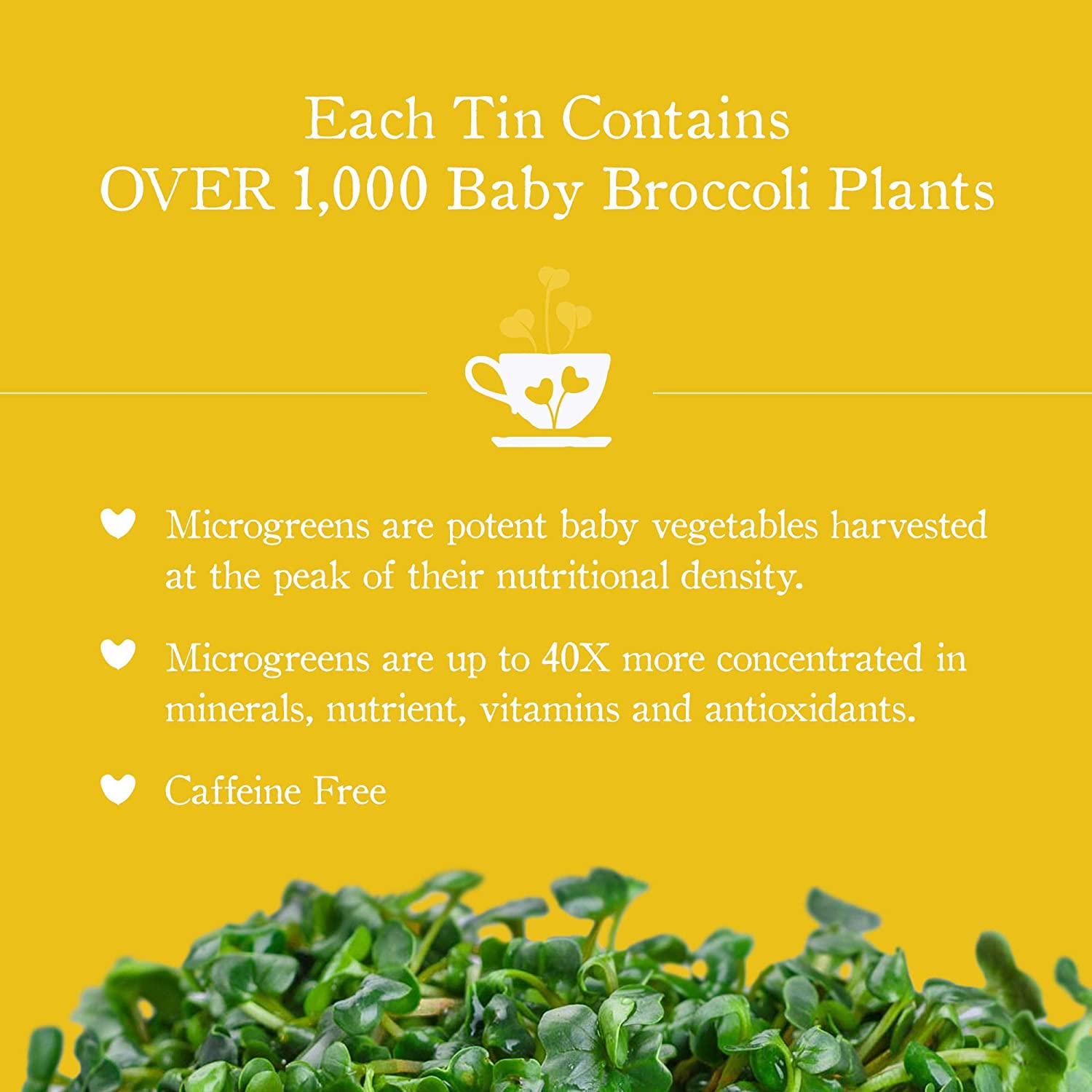 Relax - Chamomile Tea (Caffeine-Free)  Beyond Microgreens