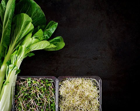 Do-it-yourself growing microgreens questions answered!