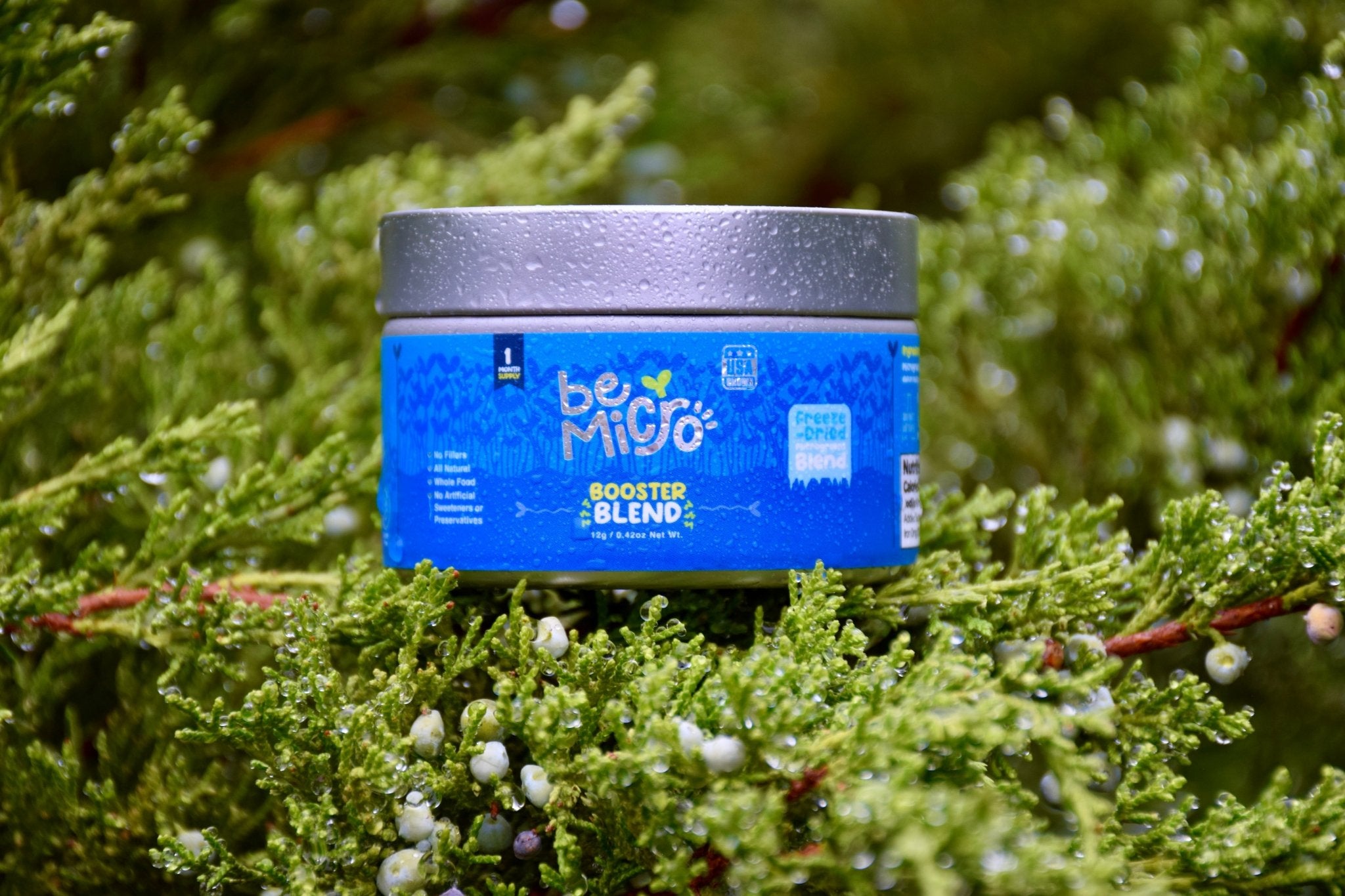 Broccoli Capsule Bundle BeMicro