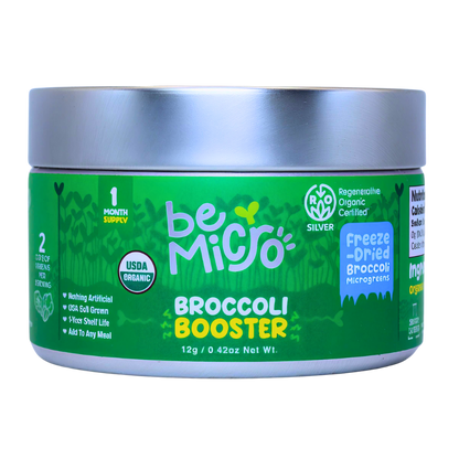 2026 New Year Bundle BeMicro