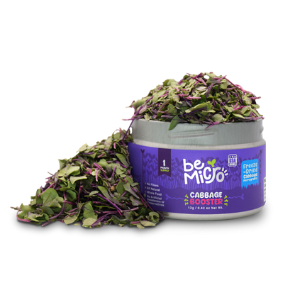 Buy One Get One Bundle BeMicro