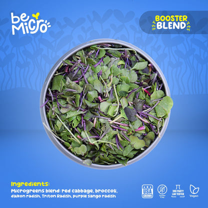 Broccoli Capsule Bundle - Limited Time Only! BeMicro
