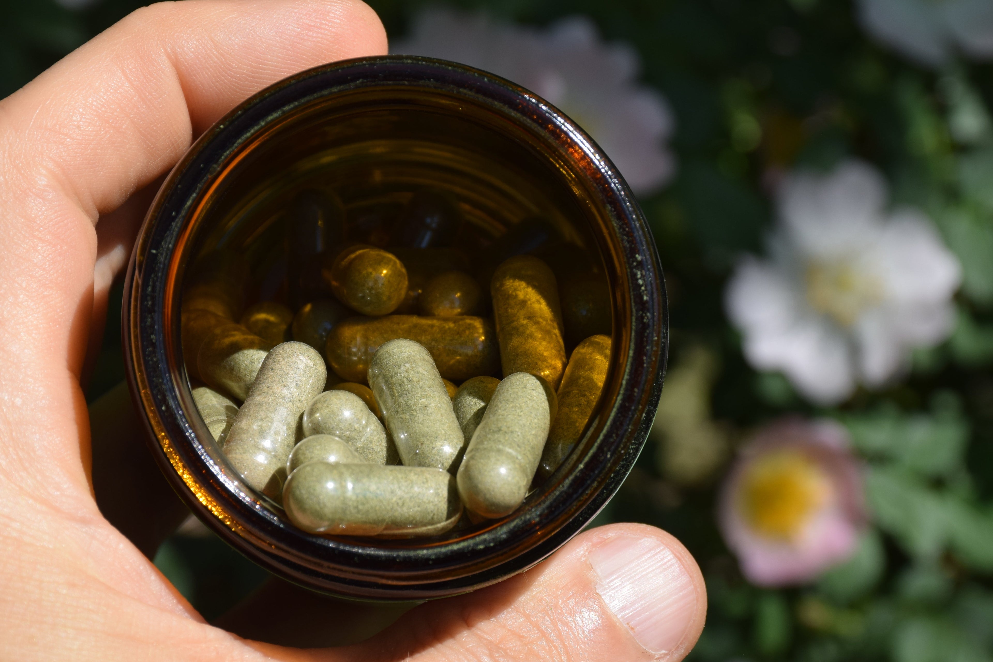 Organic Broccoli Microgreens Capsules BeMicro