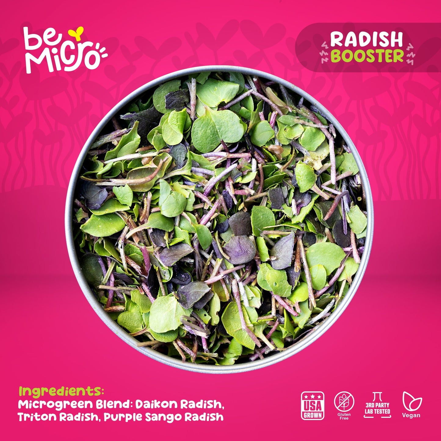 Radish Booster  BeMicro   